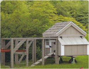 Amish Chicken Coops